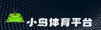 小鸟(BIRDSPORT)官方网站 · 活力无限 · T7R3