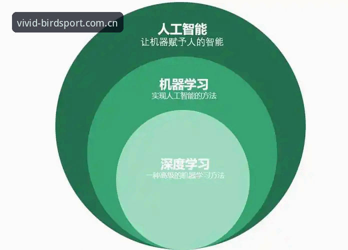 最新小鸟体育打不开 小鸟体育平台最新打不开问题深度评测:原因分析与实战解决方案
